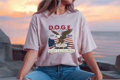 Eagle Patriotic 2025 4th of July PNG Sublimation Design Product Image 2