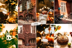 10 Crisp Leaves Mobile Lightroom Presets Product Image 2