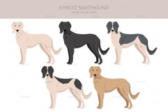 Kyrgyz Sighthound clipart Product Image 2