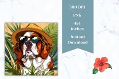 Summer Dog Square Coasters PNG, Saint Bernard Square Coaster Product Image 2