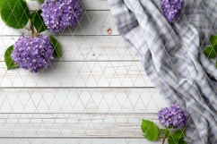 Poppy Background PNG, Wooden Background Designs Product Image 2