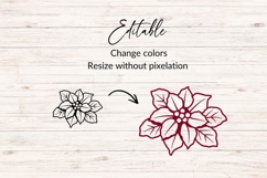 Hand Drawn Poinsettia SVG Product Image 2