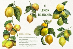 Watercolor Juicy Hand-Painted Lemons Clipart PNG Product Image 2