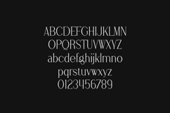 Stolen Love Rough Serif Font Product Image 2