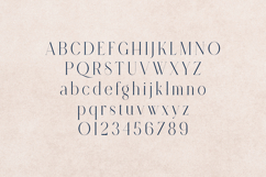 Retro Dream Elegant Modern Serif Font Product Image 2