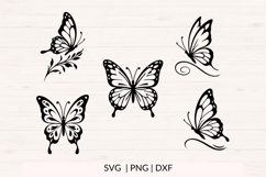 Butterfly SVG Bundle | 10 Elegant Butterfly PNG DXF Files Product Image 2