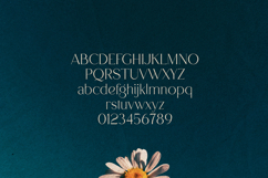 Alpas Minimal Editorial Serif Typeface Product Image 2