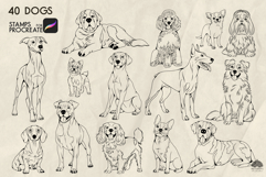 Dogs Procreate Stamps Product Image 2