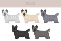 Skye Terrier clipart Product Image 4