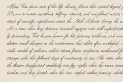 Doven Romantic Signature Script Font Product Image 2