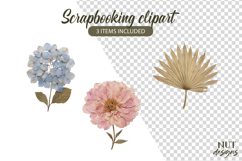 Dried Flowers Clipart Floral Scrapbooking Peony hydrangea Product Image 1