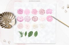 Pink Peonies Clipart, Peony Clipart Set Product Image 2