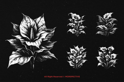 10 Bundle Dark Art Aglonema Botanical Flower Floral Leaf Product Image 3