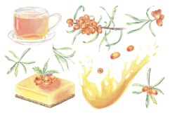 Sea Buckthorn Watercolor Clipart Hand Drawn Berries Product Image 2