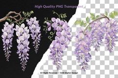 15 Bundle Watercolor Wisteria Flower Romantic Japanese Product Image 2