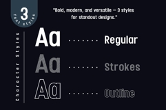 Fox Rivea: 3 Font Styles Product Image 2