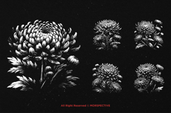 10 Bundle Dark Art Chrysan Flower Bloom Garden Bouquet Product Image 3