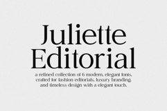 Juliette Editorial Serif 6 Fonts Product Image 2