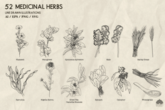 Medicinal herbs Part 2 Svg Png Eps Product Image 2