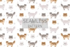 Chinchilla Persian Longhair Traditional clipart Product Image 6