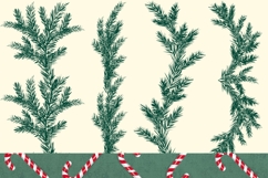 Pine Tree Christmas Borders, SVG, PNG Clipart Product Image 3