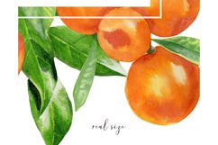 Orange wedding invitation frame clipart #w140 Product Image 4