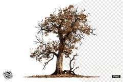 Autumn Trees Clipart Product Image 1