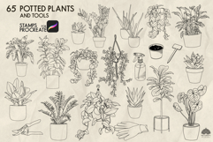 Potted Plants Procreate stamps Product Image 2