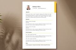 12 Clean Simple Resume CV - Canva Product Image 2