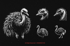 10 Bundle Dark Art Ostrich Bird Animal Savannah wild wings Product Image 3