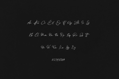 Snarf Signature Script Elegant Handwritten Product Image 2