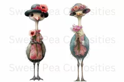 Birds, Ostrich, Ephemera, PNG, watercolor, Clipart Product Image 2