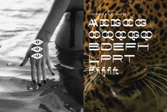 Conega Display Font Product Image 2