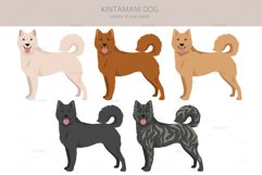Kintamani Bali dog clipart Product Image 2