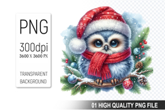 Christmas Owl Clipart PNG, Festive Owl illustration Product Image 1