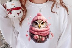 Christmas Owl Clipart, Christmas Owl Clipart, Christmas Owl Product Image 2