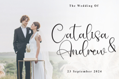 Handsome Product Image 2