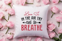 Love is in the air try not to breathe SVG, Valentine's Day S Product Image 3