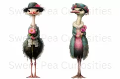 Birds, Ostrich, Ephemera, PNG, watercolor, Clipart Product Image 2