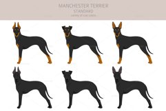 Manchester Terrier Standard clipart Product Image 4