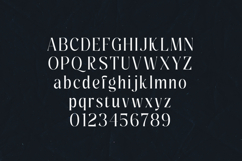 Pure Motif Elegant Serif Text Font Product Image 2