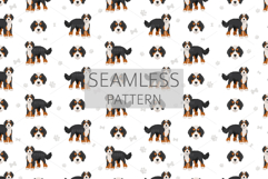 Bernedoodle dog mix Product Image 7