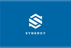 Synergy Letter S logo design vector template Product Image 2