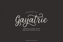 Whitecastle - Modern Calligraphy Script Product Image 2