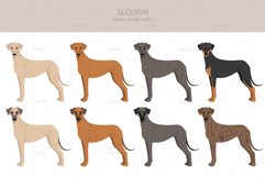 Sloughi clipart Product Image 4