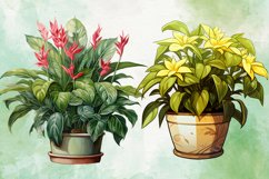 Houseplants in Pot Sublimation Clipart Bundle, Houseplants Product Image 3