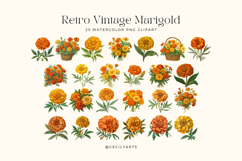 Watercolor Retro Vintage Marigold Cliparts Bundle Product Image 2