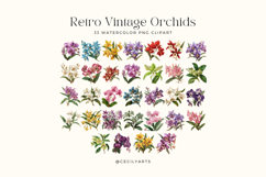 Retro Vintage Orchids Clipart Bundle Product Image 2
