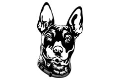 Miniature Pinscher/Dog Svg/Png/Jpg/Ai/Vector purebred breed Product Image 3
