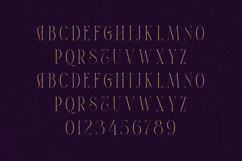 Thorn &amp; Tale Elegant Serif Font Product Image 2